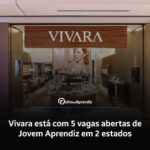 Vaga Jovem Aprendiz Vivara