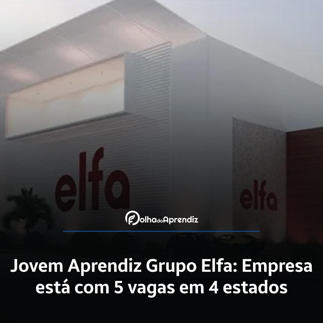 Jovem Aprendiz Grupo Elfa: Empresa está com 5 vagas em 4 estados